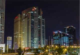 青山区植物出租