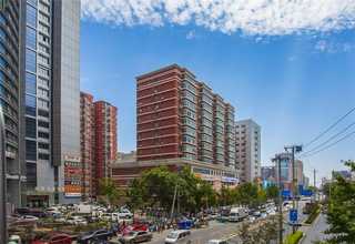 北仑区转弯输送机诚信经营